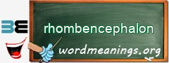 WordMeaning blackboard for rhombencephalon